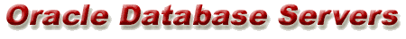 Oracle Database Servers